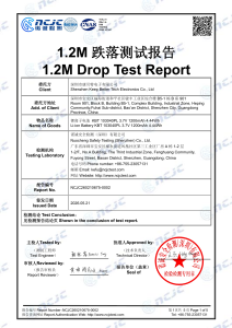 drop test report of Li-ion battery 103040