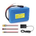 36V Lithium Battery Pack with Cable and BMS